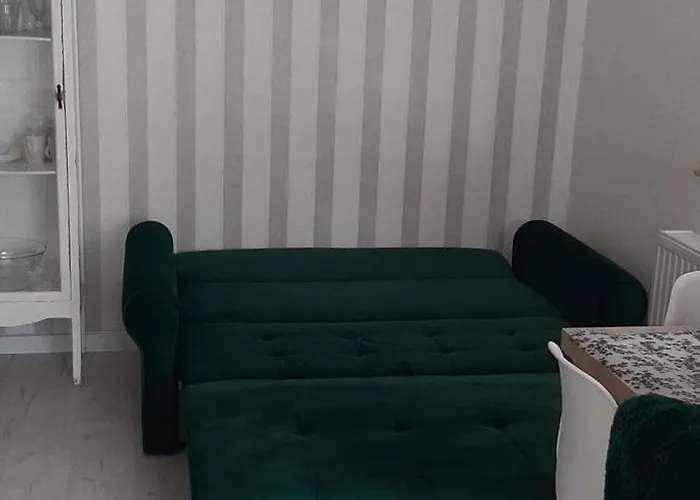 Przystan Parking Ogrodek Blisko Jeziora I Mariny Dla Jachtow Ostroda