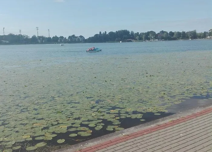 Przystan Parking Ogrodek Blisko Jeziora I Mariny Dla Jachtow *